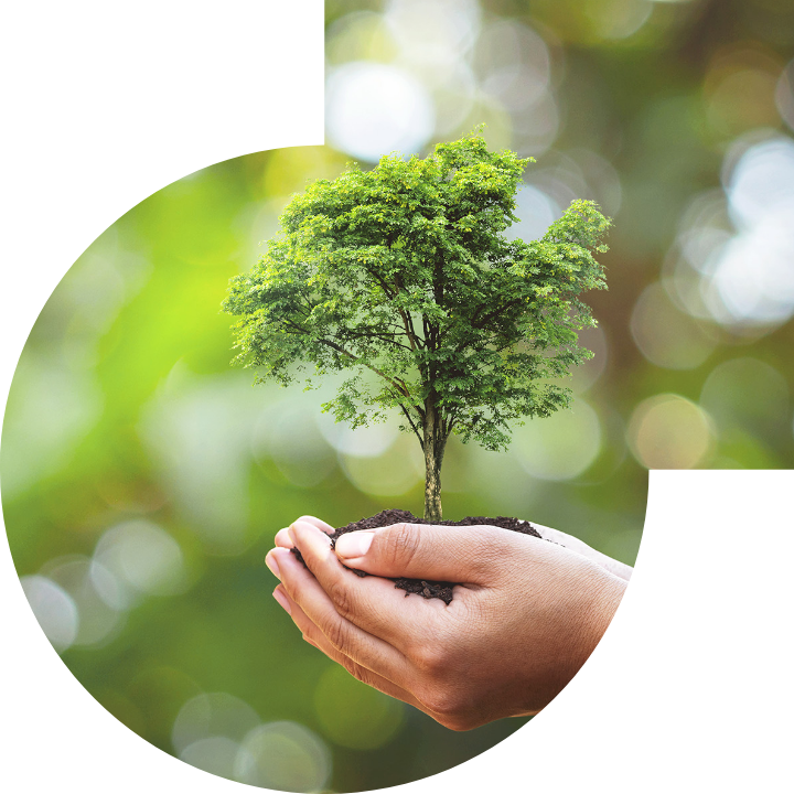 关怀人类、文化、环境与社会